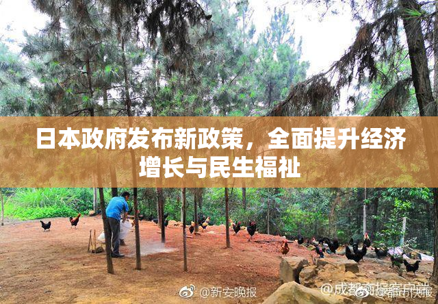日本政府发布新政策，全面提升经济增长与民生福祉