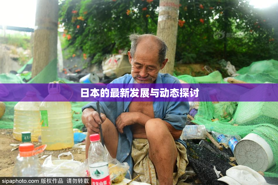 日本的最新发展与动态探讨