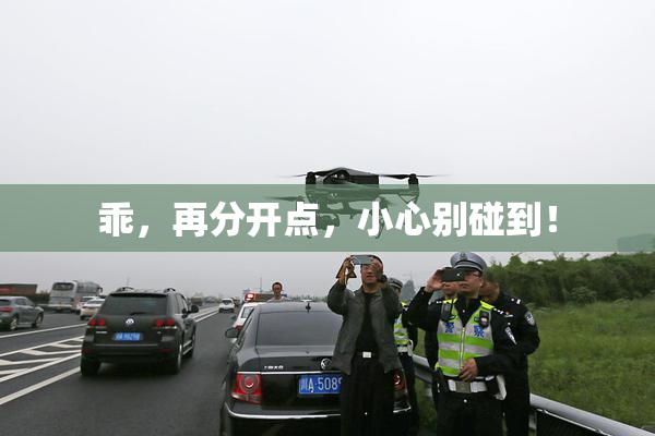 乖，再分开点，小心别碰到！