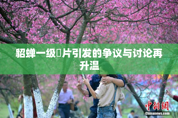 貂蝉一级婬片引发的争议与讨论再升温