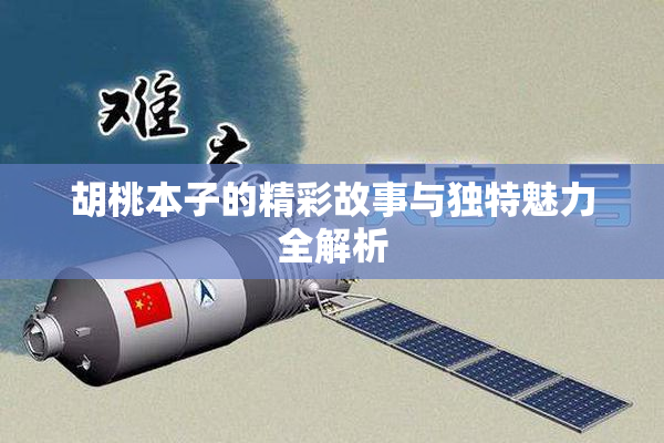 胡桃本子的精彩故事与独特魅力全解析