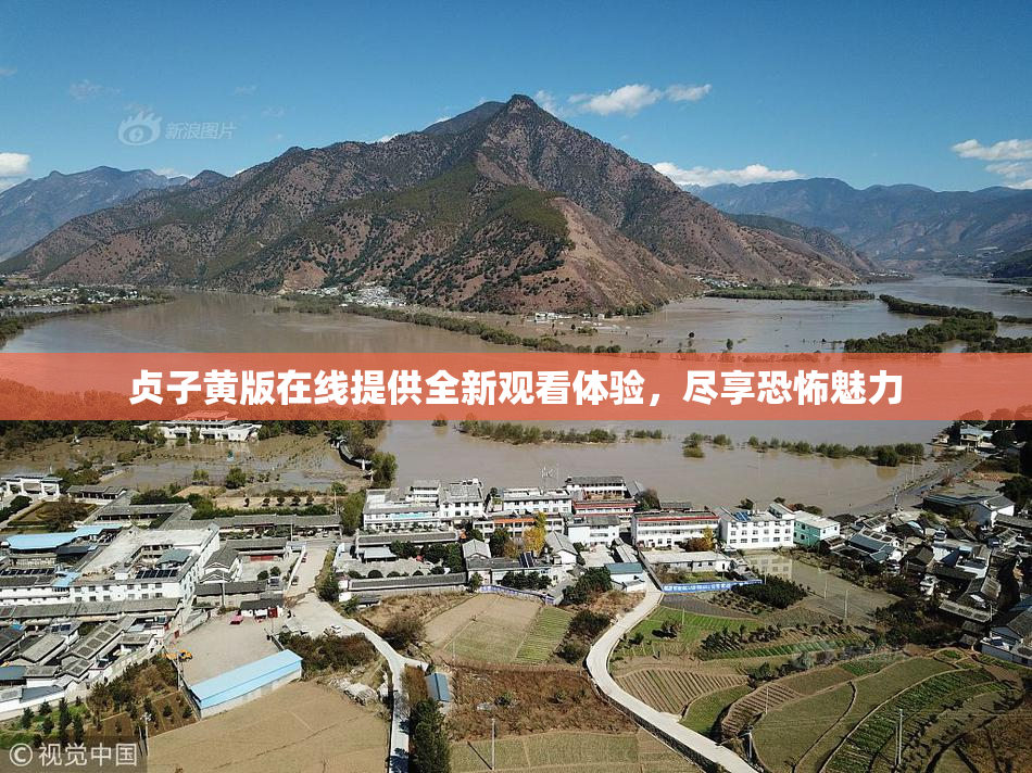 贞子黄版在线提供全新观看体验，尽享恐怖魅力