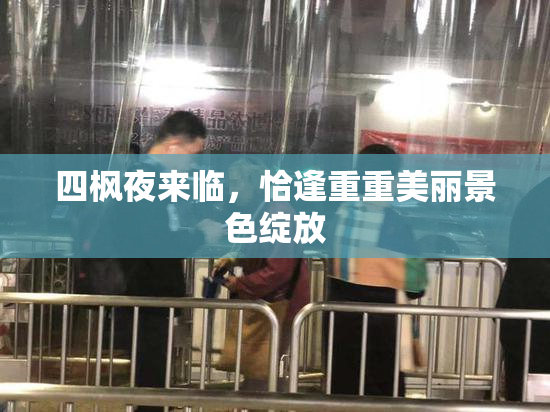 四枫夜来临，恰逢重重美丽景色绽放