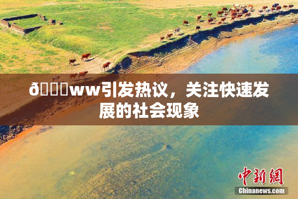 🔞ww引发热议，关注快速发展的社会现象