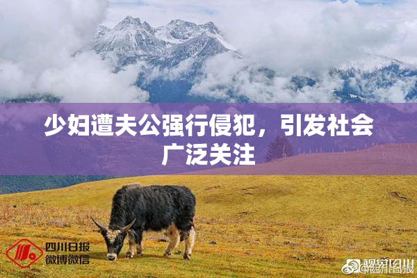 少妇遭夫公强行侵犯，引发社会广泛关注