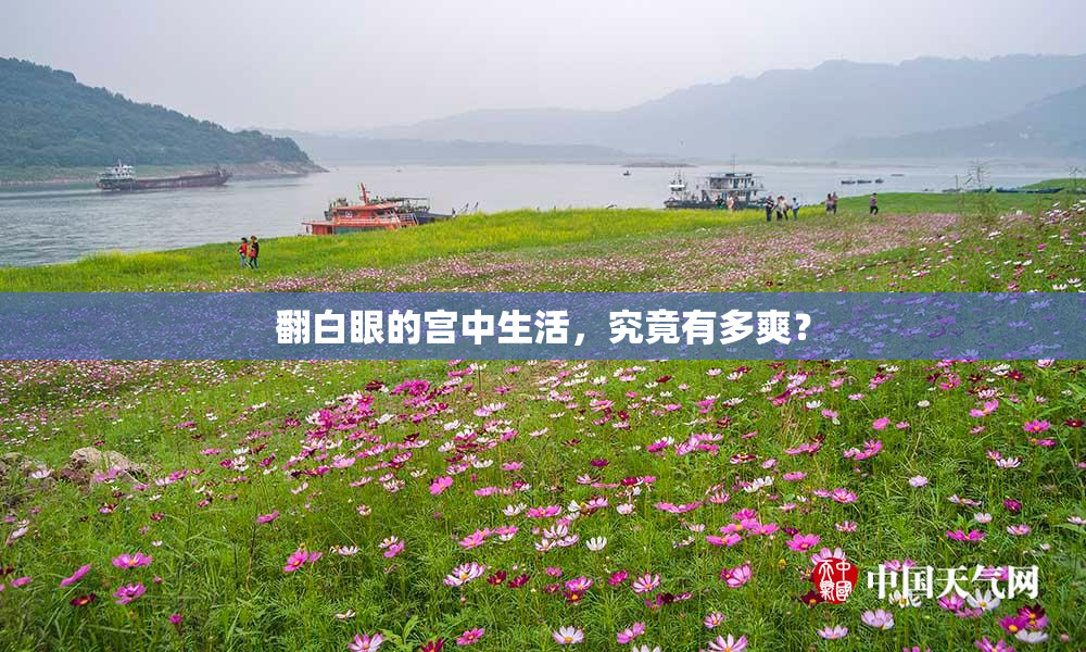 翻白眼的宫中生活，究竟有多爽？