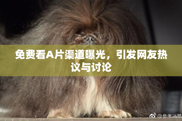 免费看A片渠道曝光，引发网友热议与讨论