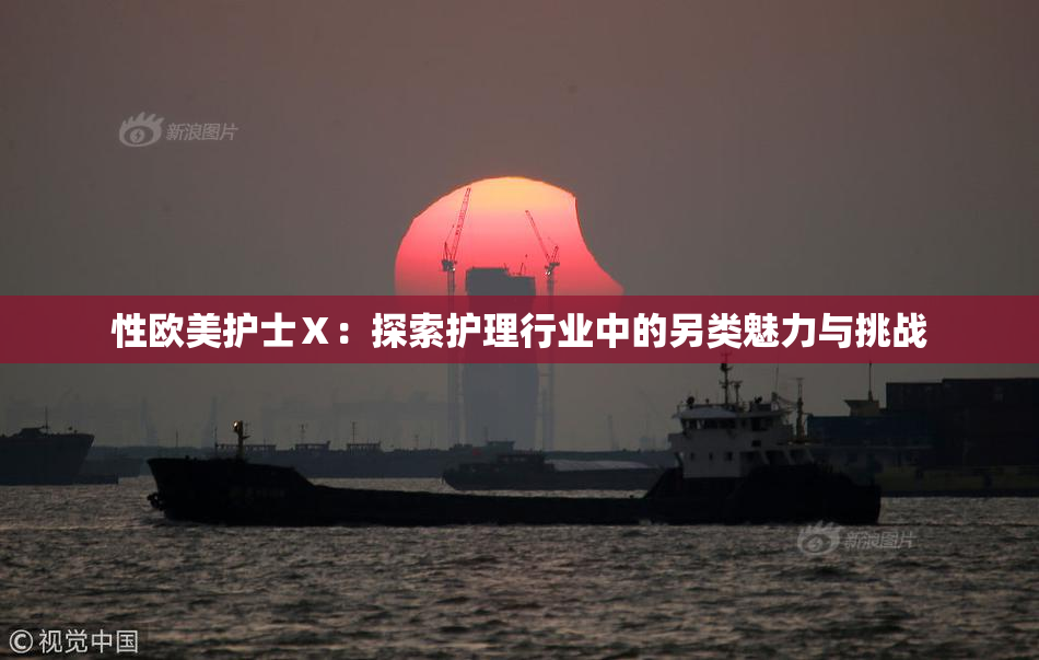 性欧美护士Ⅹ：探索护理行业中的另类魅力与挑战