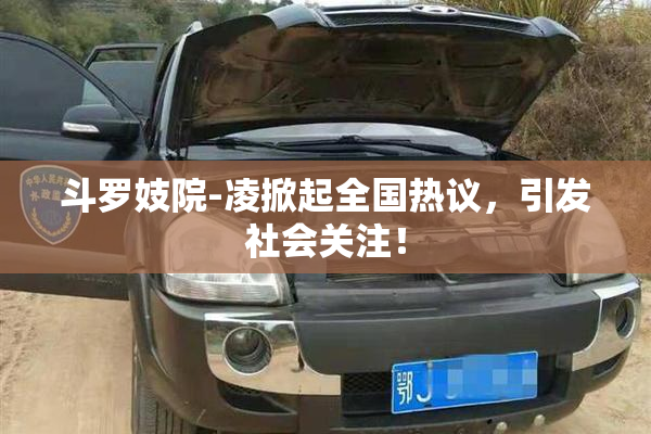 斗罗妓院-凌掀起全国热议，引发社会关注！