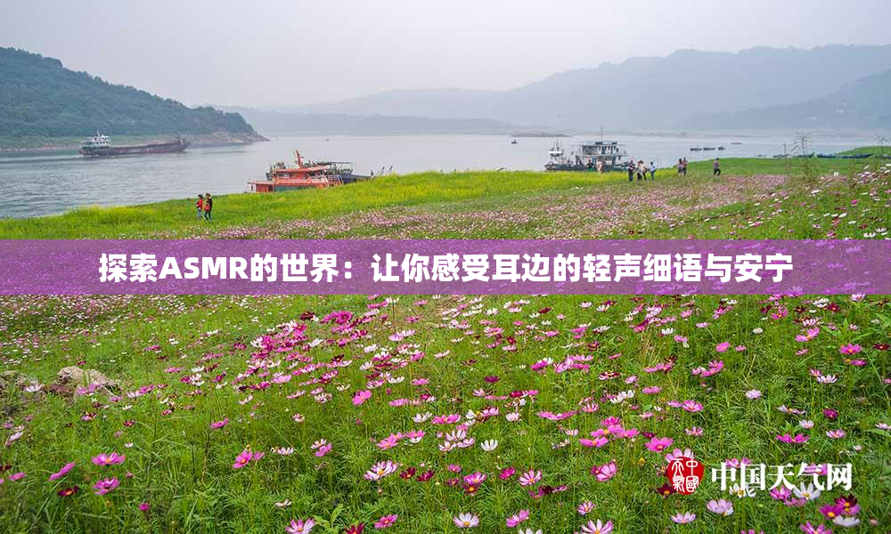 探索ASMR的世界：让你感受耳边的轻声细语与安宁