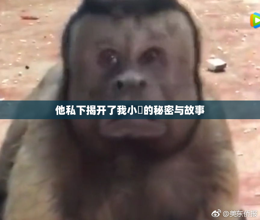 他私下揭开了我小泬的秘密与故事