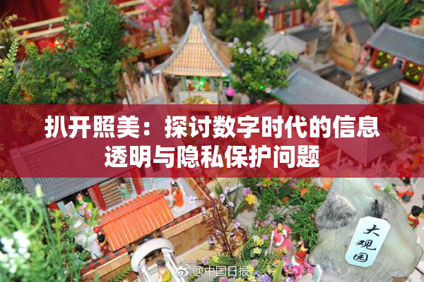 扒开照美：探讨数字时代的信息透明与隐私保护问题