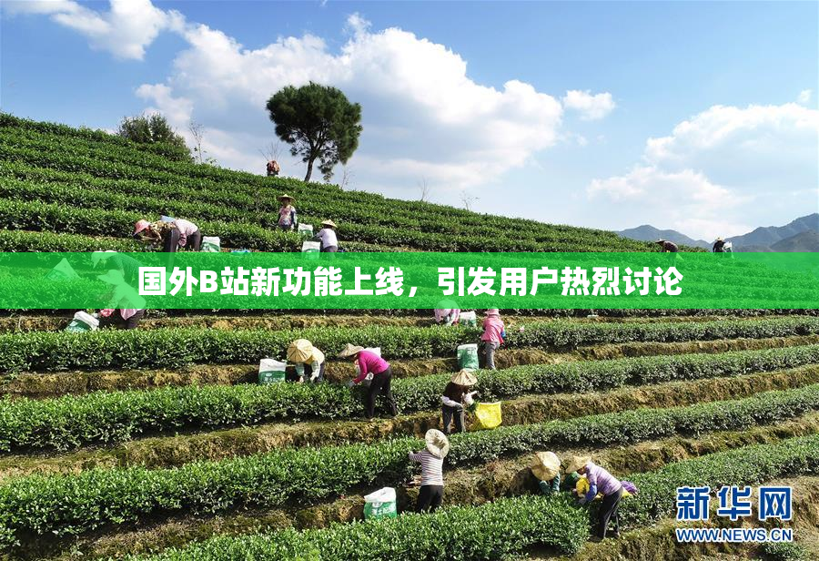 国外B站新功能上线，引发用户热烈讨论