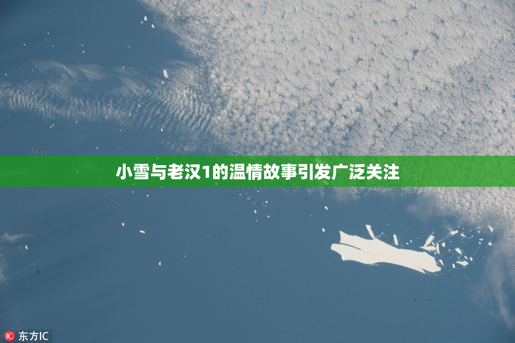 小雪与老汉1的温情故事引发广泛关注