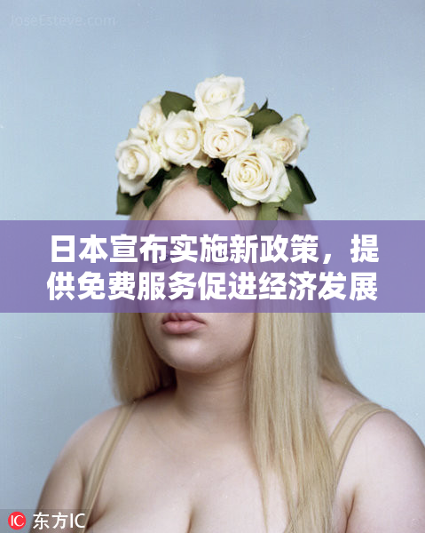 日本宣布实施新政策，提供免费服务促进经济发展