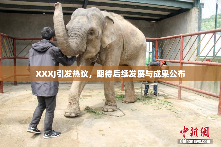 XXXJ引发热议，期待后续发展与成果公布