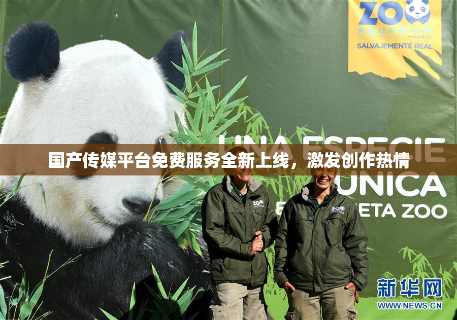 国产传媒平台免费服务全新上线，激发创作热情
