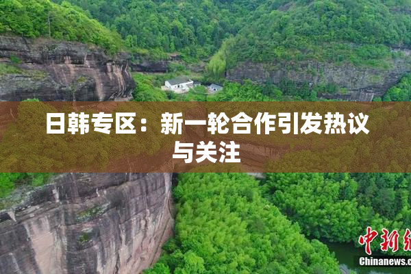 日韩专区：新一轮合作引发热议与关注