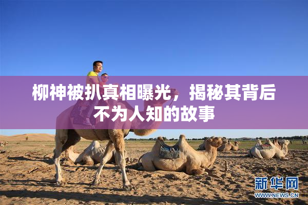 柳神被扒真相曝光，揭秘其背后不为人知的故事