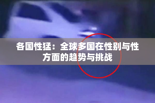 各国性猛：全球多国在性别与性方面的趋势与挑战
