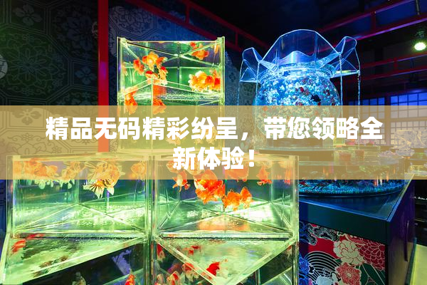 精品无码精彩纷呈，带您领略全新体验！