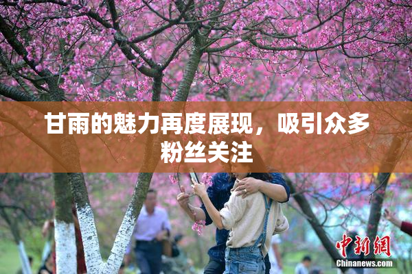 甘雨的魅力再度展现，吸引众多粉丝关注