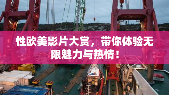 性欧美影片大赏，带你体验无限魅力与热情！