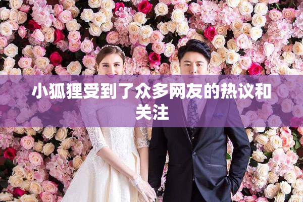 小狐狸受到了众多网友的热议和关注