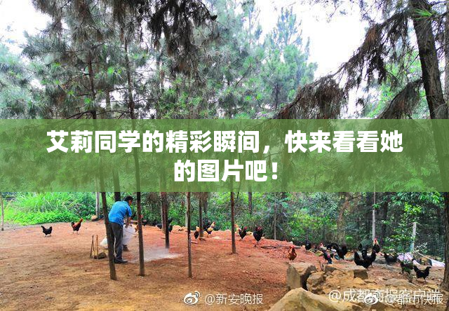 艾莉同学的精彩瞬间，快来看看她的图片吧！