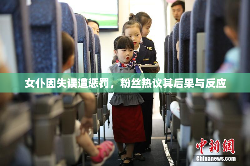 女仆因失误遭惩罚，粉丝热议其后果与反应