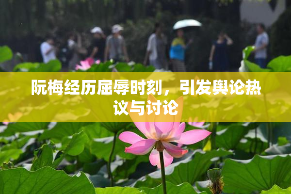 阮梅经历屈辱时刻，引发舆论热议与讨论