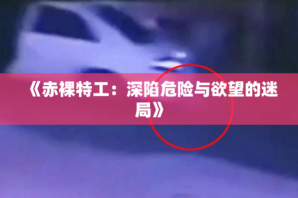 《赤裸特工：深陷危险与欲望的迷局》