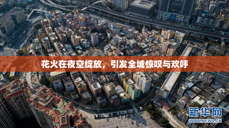 花火在夜空绽放，引发全城惊叹与欢呼