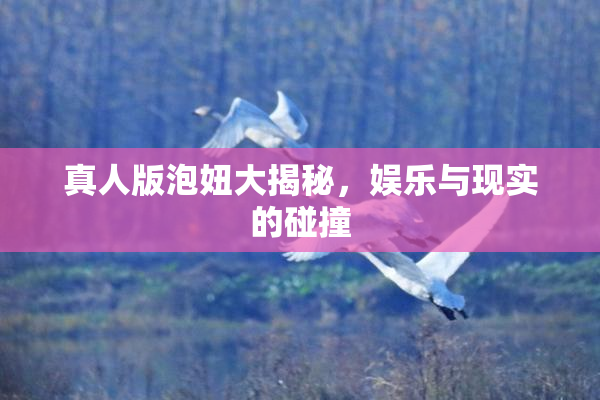 真人版泡妞大揭秘，娱乐与现实的碰撞
