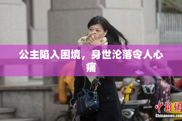 公主陷入困境，身世沦落令人心痛