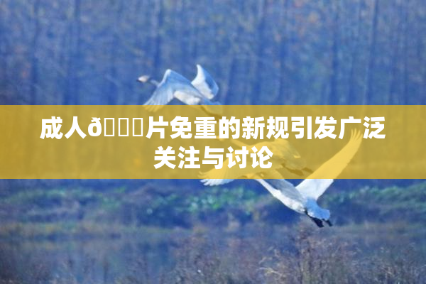 成人🔞片免重的新规引发广泛关注与讨论