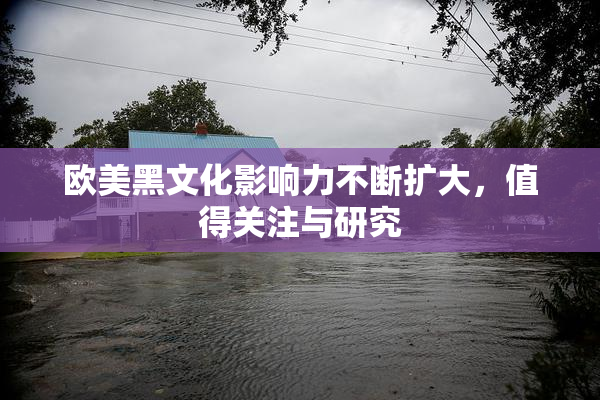 欧美黑文化影响力不断扩大，值得关注与研究