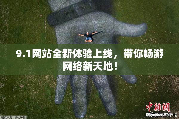 9.1网站全新体验上线，带你畅游网络新天地！