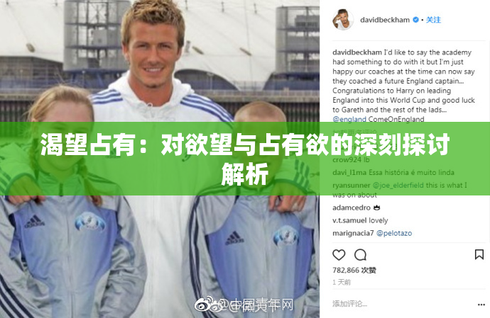 渴望占有：对欲望与占有欲的深刻探讨解析