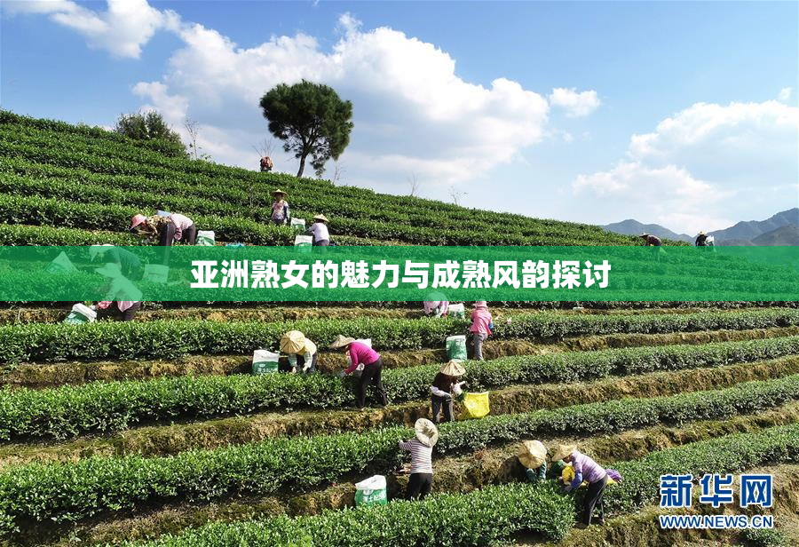 亚洲熟女的魅力与成熟风韵探讨