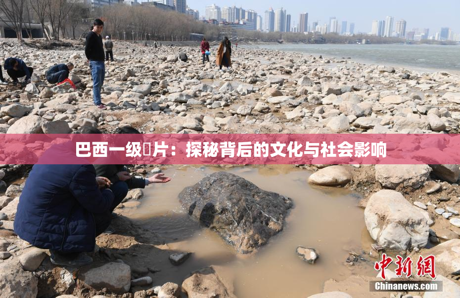 巴西一级婬片：探秘背后的文化与社会影响