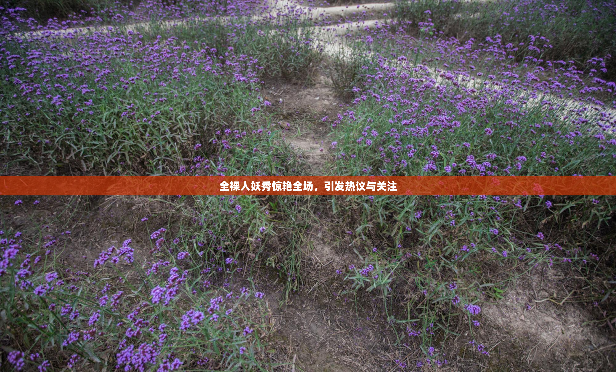 全裸人妖秀惊艳全场，引发热议与关注
