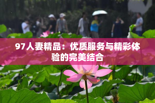 97人妻精品：优质服务与精彩体验的完美结合