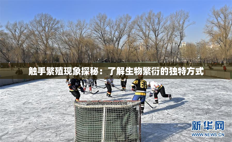 触手繁殖现象探秘：了解生物繁衍的独特方式