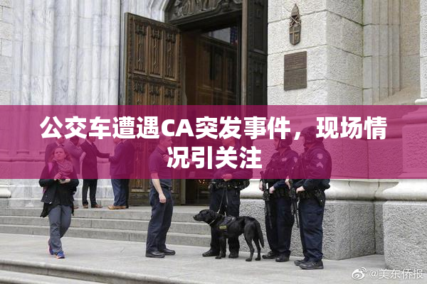 公交车遭遇CA突发事件，现场情况引关注