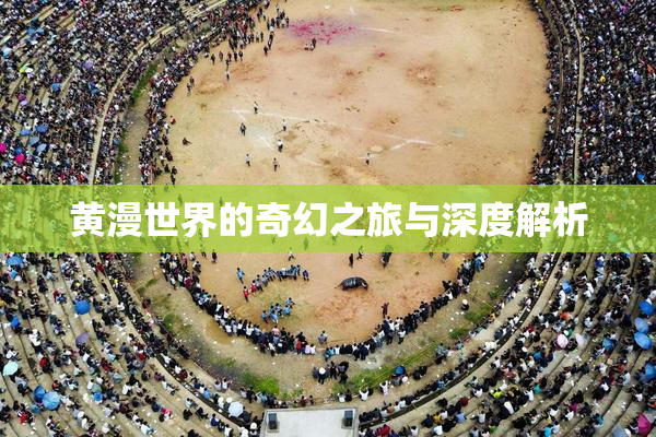 黄漫世界的奇幻之旅与深度解析
