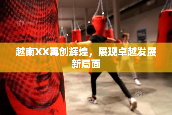 越南XX再创辉煌，展现卓越发展新局面