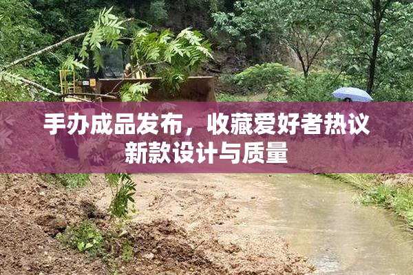 手办成品发布，收藏爱好者热议新款设计与质量