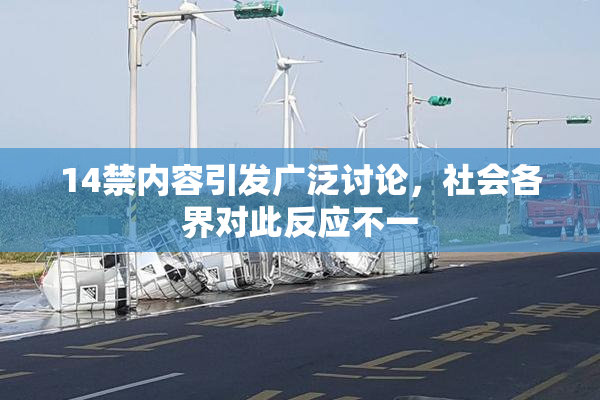 14禁内容引发广泛讨论，社会各界对此反应不一