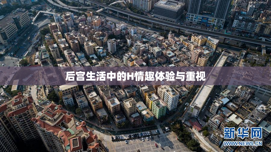 后宫生活中的H情趣体验与重视